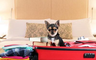 Discover the Perfect Vacation with Pet Friendly Cabins in Branson, MO